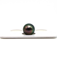 Peacock Tahitian pearl — Floating Tahitian Pearl Necklace color option