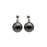 Halo Earrings on Sterling Silver with Moissanite