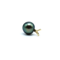 Gold rabbit ear blue tahitian black pearl on its side on a white background