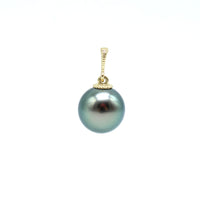 Gold tahitian black pearl pendant on a white background