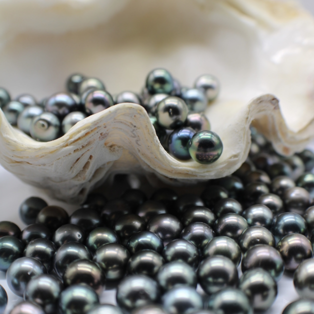 Oval & Off Round Pearls