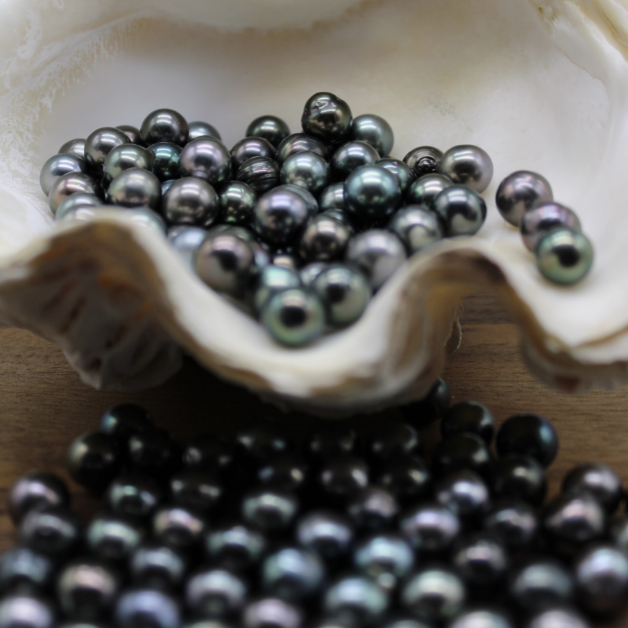 Semi Baroque Pearls