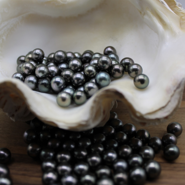 Round and Near Round Tahitian Pearls
