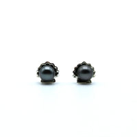 Havai'i Earrings