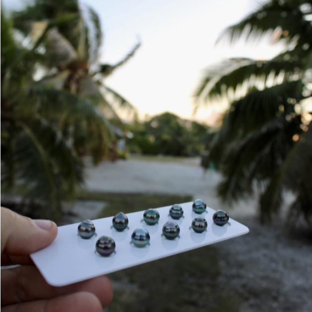 Circle Pearls