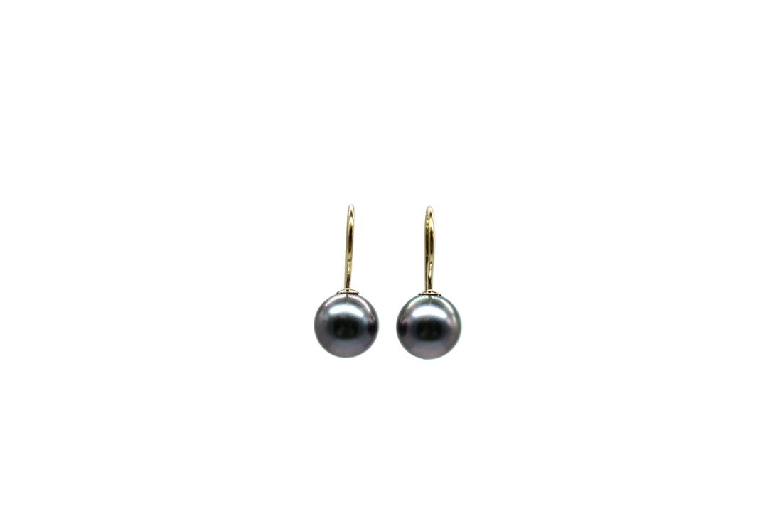 Front view of gold filled french hook earrings with black pearls on a white background