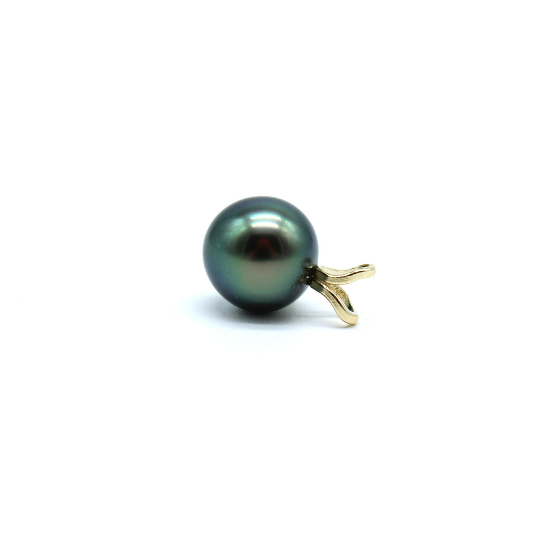 Gold rabbit ear blue tahitian black pearl on its side on a white background