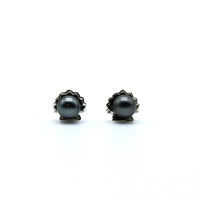 Pair of black keshi pearl stud earrings sitting in a shell on a white background