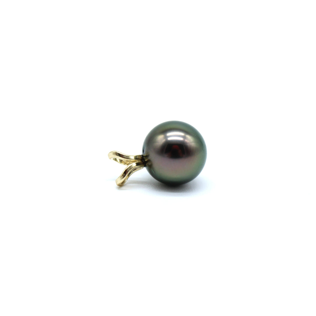 Single black pearl on a yellow gold pendant with a white background